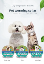 Load image into Gallery viewer, Buggybands Small Pet Collars Anti-Parasitic: Convenient Protection for Dogs &amp; Cats,Vet-Recommended Flea &amp; Tick Treatment &amp; Prevention
