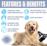 Load image into Gallery viewer, Buggybands Skunk Odor Eliminator, 32oz Spray - Dismantles Skunk Odors on a Molecular Basis from Pets &amp; Anything Else, Proprietary Formula Breaks Down Skunk Oils, Eliminates Odor on Clothing &amp; More
