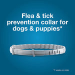 Load image into Gallery viewer, Buggybands Large Pet Collars Anti-Parasitic: Convenient Protection for Dogs &amp; Cats,Vet-Recommended Flea &amp; Tick Treatment &amp; Prevention
