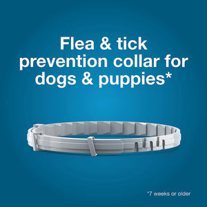 Buggybands Large Pet Collars Anti-Parasitic: Convenient Protection for Dogs & Cats,Vet-Recommended Flea & Tick Treatment & Prevention