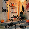 Halloween Plush Spiders (6 in 1)