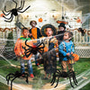 Halloween Plush Spiders (6 in 1)