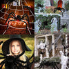 Halloween Plush Spiders (6 in 1)